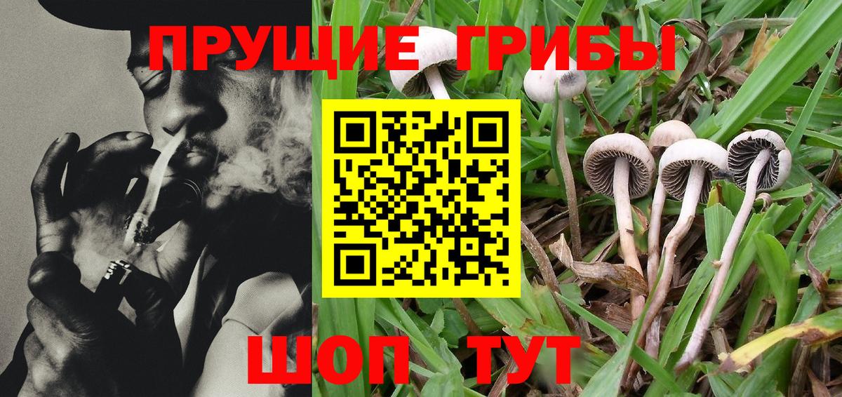 Реутов  Псилоцибиновые грибы MAGIC MUSHROOMS  Вход с VPN  Галлюциногенные грибы прущие грибы 